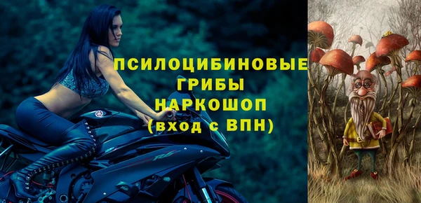 хмурый Горнозаводск