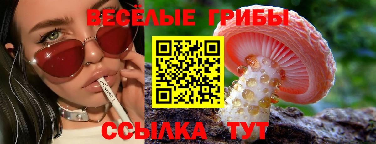 Галлюциногенные грибы мицелий  наркотики  Вход с VPN  Дагестанские Огни  Галлюциногенные грибы ЛСД 